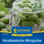 Kiepenkerl Mexikanische Minigurke Mateo im Glas: Grün-gestreifte Snackgurken als Gemüsesamen für den Garten.