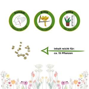 Samen der Stabtomate Tamina: Aussaat, Erntezeit und Wuchshöhe der Gemüsesamen für ca. 15 Pflanzen.