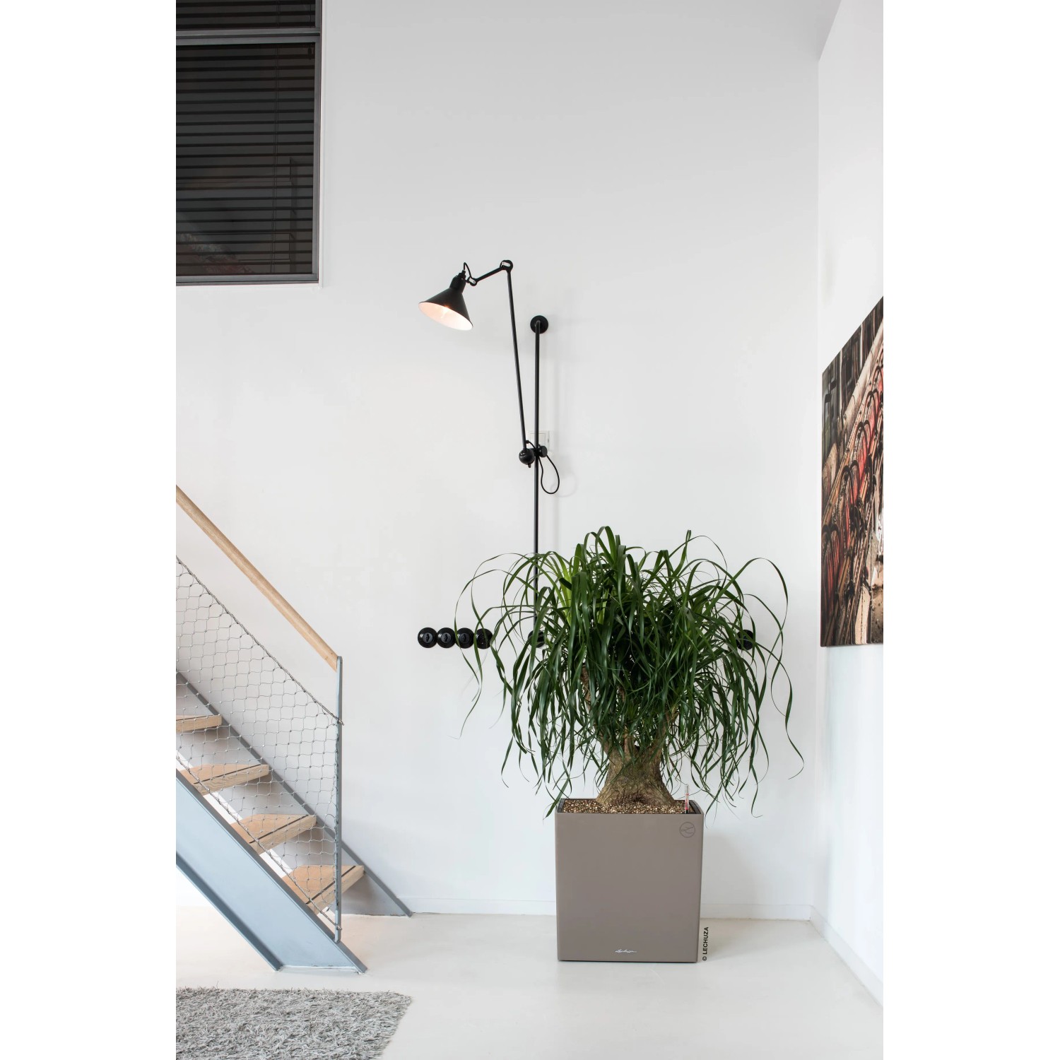Lechuza Blumentopf Cube Premium Kunststoff mit Bewsserungssystem 50 x 50  cm kaufen bei OBI