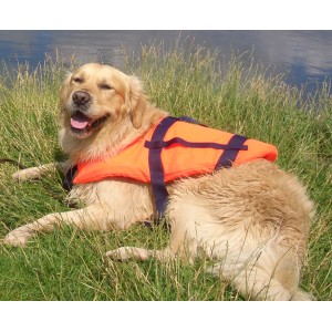 Golden Retriever mit orangefarbener Seilflechter Schwimmweste für Hunde (bis 8 kg) im Gras.
