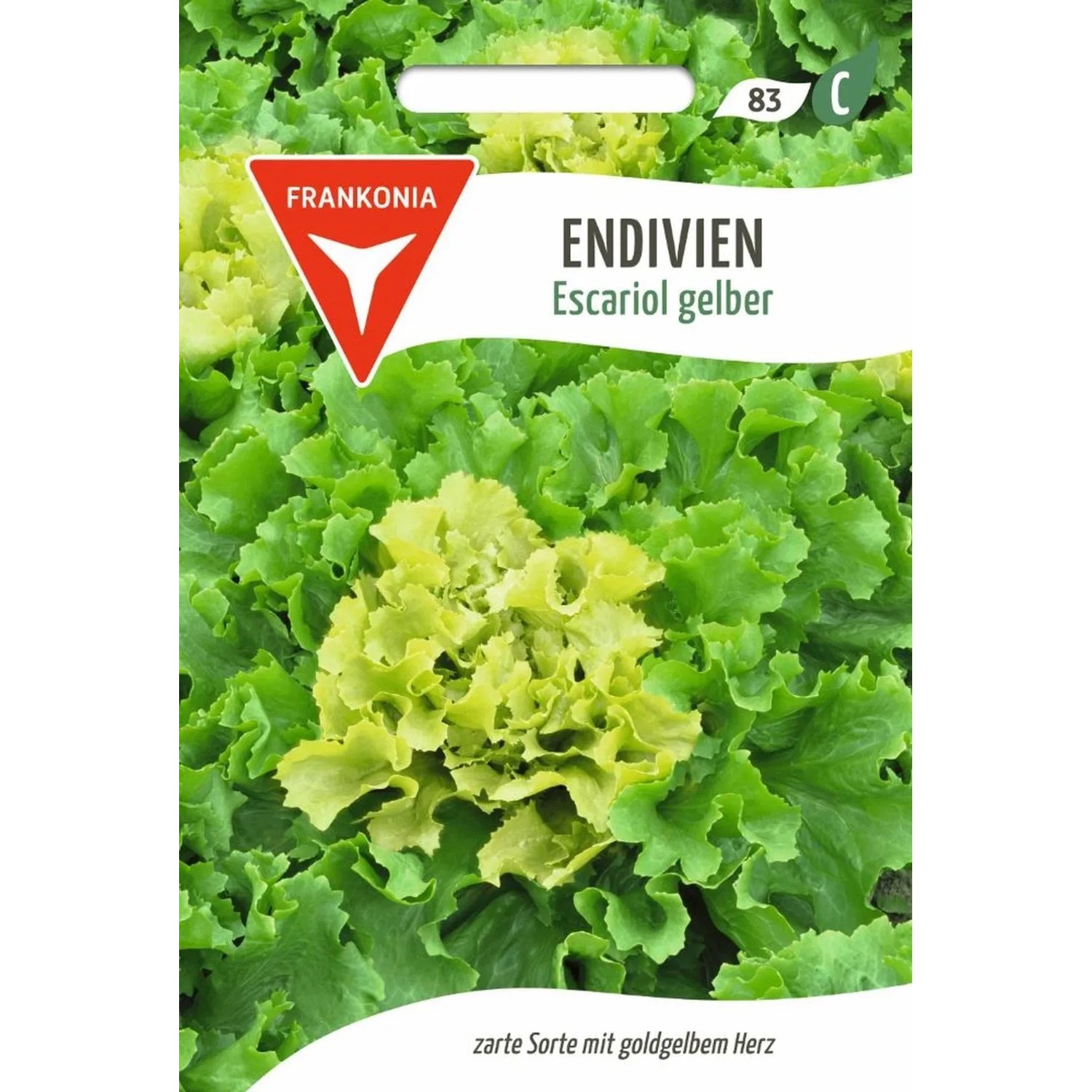 FRANKONIA Endivie Escariol Gelb