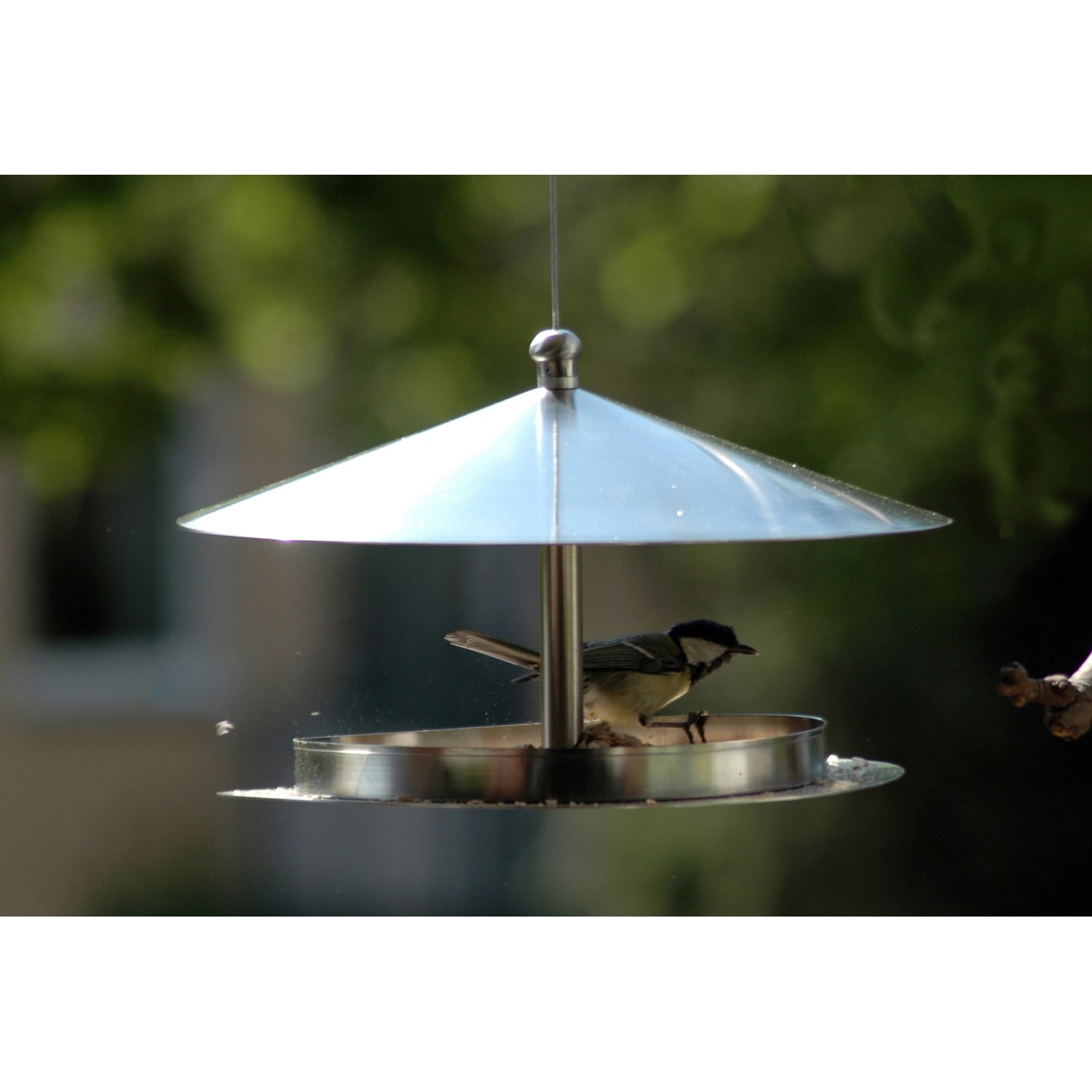 Rundes Edelstahl-Futterhaus zum Aufhängen mit Vogel beim Fressen.