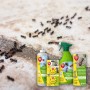 Protect Home Natria Ameisenmittel: Spray, Streumittel und Köderdose gegen Ameisen und Ungeziefer.
