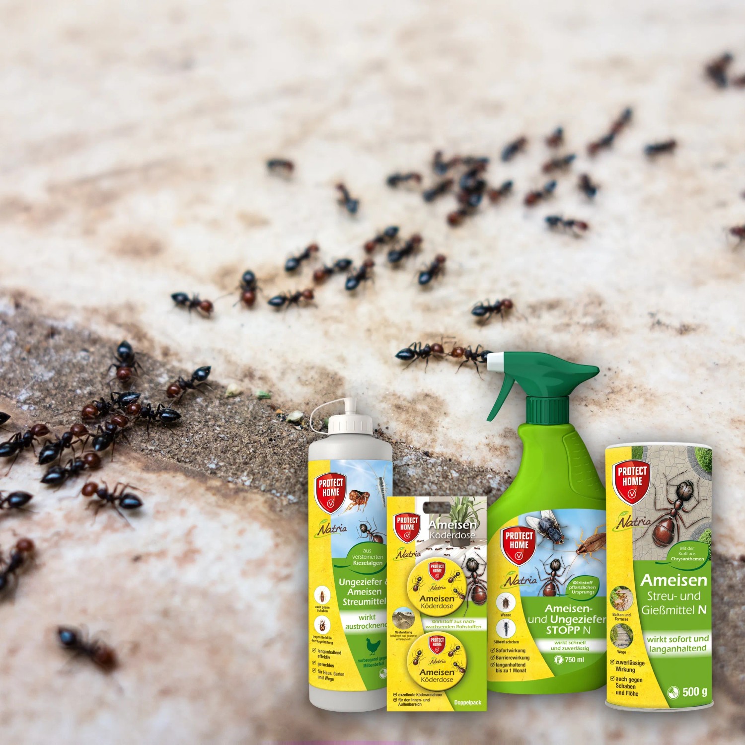 Protect Home Natria Ameisenmittel: Spray, Streumittel und Köderdose gegen Ameisen und Ungeziefer.