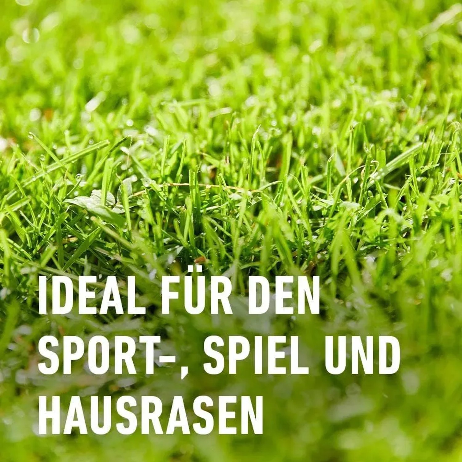 drachenbaum künstlich Künstliche Dracaena main image 1