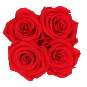 Rosenbox mit 4 roten Rosen in weißer Box mit Schleife, Durchmesser 10 cm.