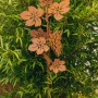 Ferrum Art Design Gartenstecker Vinea, 148 cm, Edelrost Optik, Weinreben Motiv.