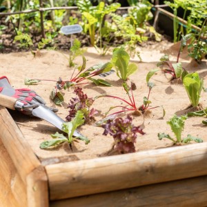 Hochbeet mit Windhager Jutevlies-Matte, bepflanzt mit Salat und Gemüse, Gartengerät liegt bereit.