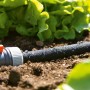 Gardena Perl-Regner 15 m im Einsatz zur Bewässerung im Garten.