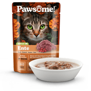Pawsome Katzen-Nassfutter Adult Ente, 85g Packung und Schale mit Futter.