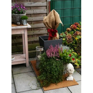 Kokosfaser Mulchmatte 100x50cm als Topfuntersetzer und Baumschutz im Garten.