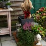 Kokosfaser Mulchmatte 100x50cm als Topfuntersetzer und Baumschutz im Garten.