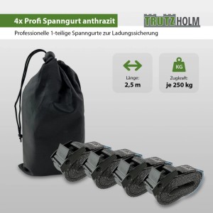 4 anthrazitfarbene Spanngurte mit Klemmschloss, 2,5m lang, im Beutel.