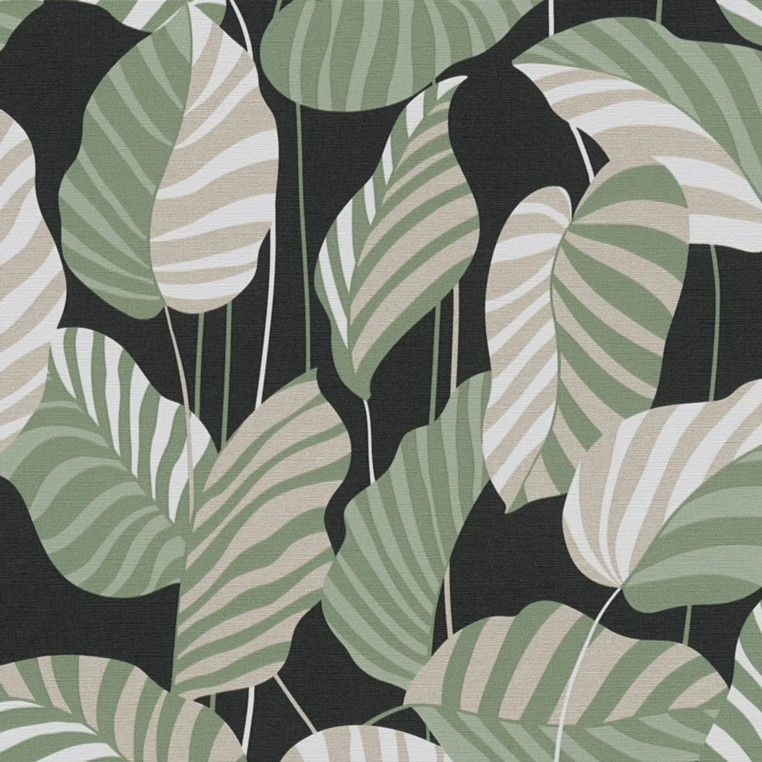 Tadessi Tapete Floral M1-No.4254 Vliestapete in Schwarz
