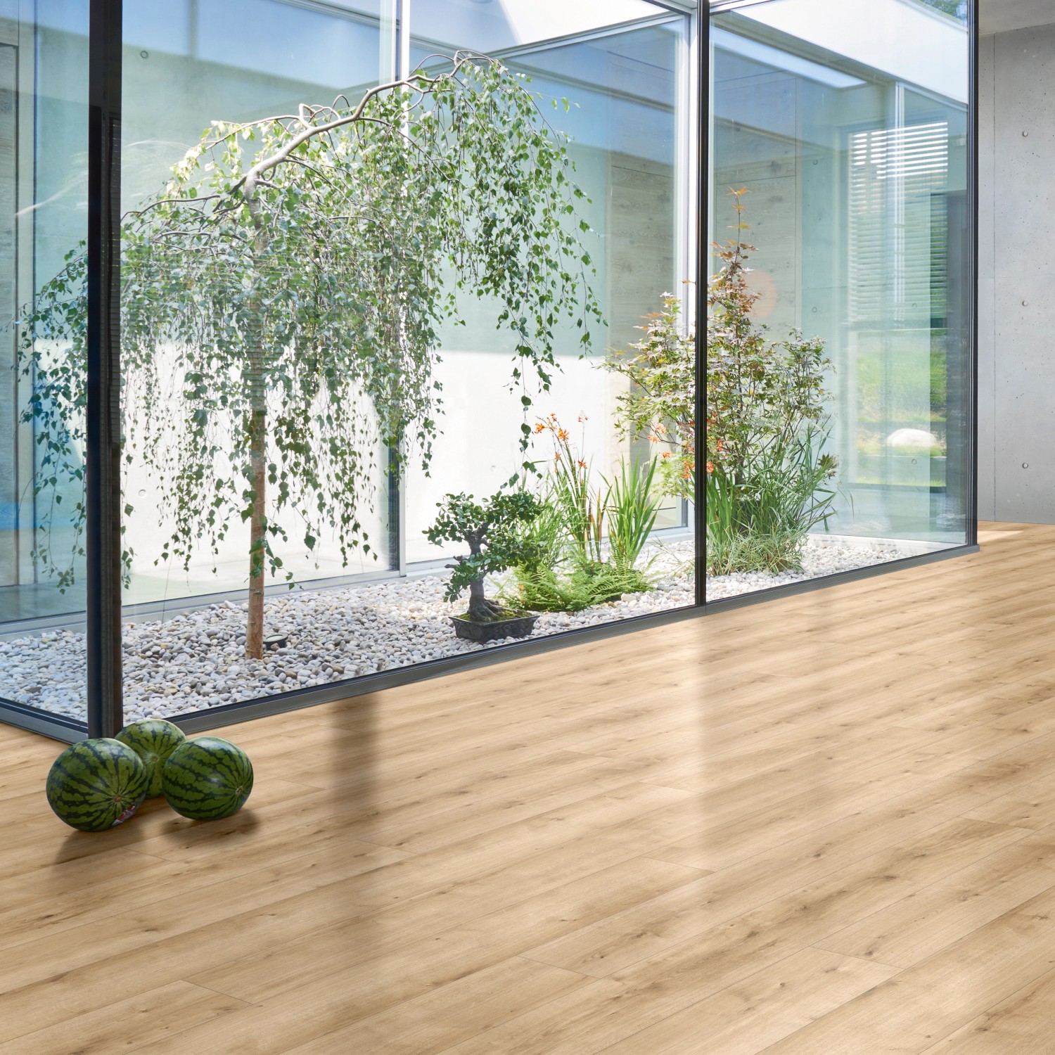 Parador Designboden Modular One SD Eiche Pure Hell im Raum mit Glaselement und Pflanzen.