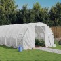 vidaXL Gewächshaus mit Stahlrahmen Weiß 24 m² 8x3x2 m 3188052_2