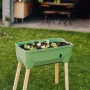 Dunkelgrünes Gusta Garden Anzuchtsgefäß Sammy Salad 15L auf Holzbeinen, bepflanzt mit Salat.