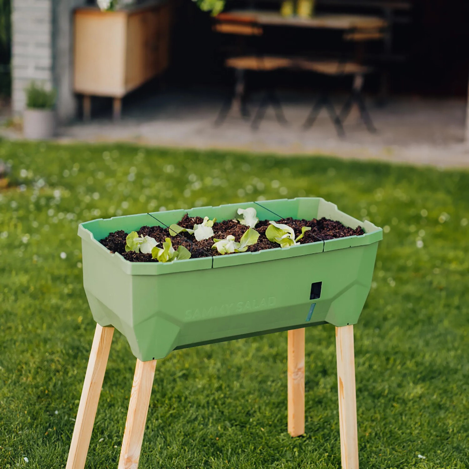 Dunkelgrünes Gusta Garden Anzuchtsgefäß Sammy Salad 15L auf Holzbeinen, bepflanzt mit Salat.