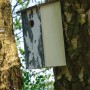 Dobar Nistkasten mit Baumrinde-Aufdruck an einem Birkenstamm befestigt.