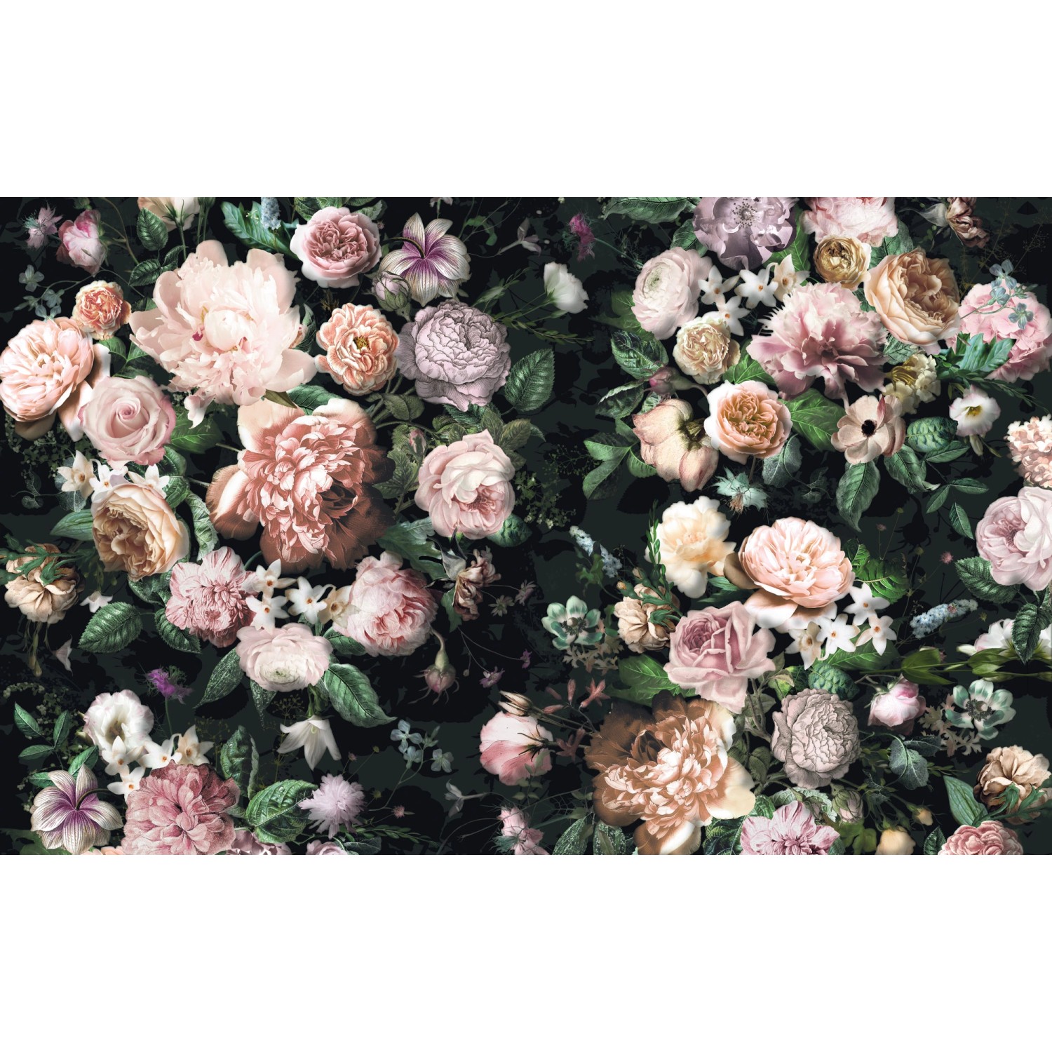 Sanders & Sanders Fototapete Blumen Multicolor Auf Schwarz 400 x 250 cm 611 günstig online kaufen