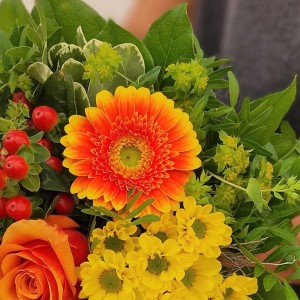 Blumenstrauß 'Ganz unverblümt': Mix aus orangefarbener Germini, Rose, gelben Blüten und Grün.