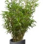 Scheurich Pflanzsäule Wave Globe High, Ø 40 cm, Schwarz-Granit, mit Bepflanzung.