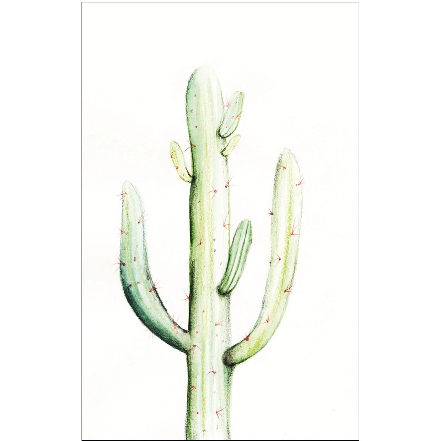 Komar Wandbild Saguaro Watercolor 50 x 70 cm günstig online kaufen