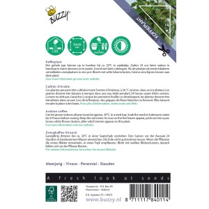 Zwerg-Kaffeepflanze Buzzy House Plants Samen Ca. 15 Samen Für Innenbereich