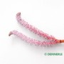 Dennerle Aponogeton longiplumulosus Aquariumpflanze mit rosa Blüte.