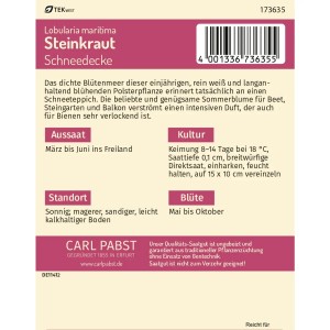Pabst Steinkraut Schneedecke Saatgut Packung, einjährige Sommerblume für Beet und Balkon.