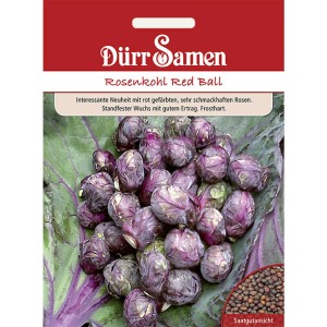 Dürr Samen Rosenkohl Red Ball Saatgut Packung mit roten Kohlsprossen und Saatgutanblick.