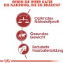 Grafik: Royal Canin Fit Katzenfutter Vorteile – Nährstoffprofil, Gewichtskontrolle, weniger Haarballen.