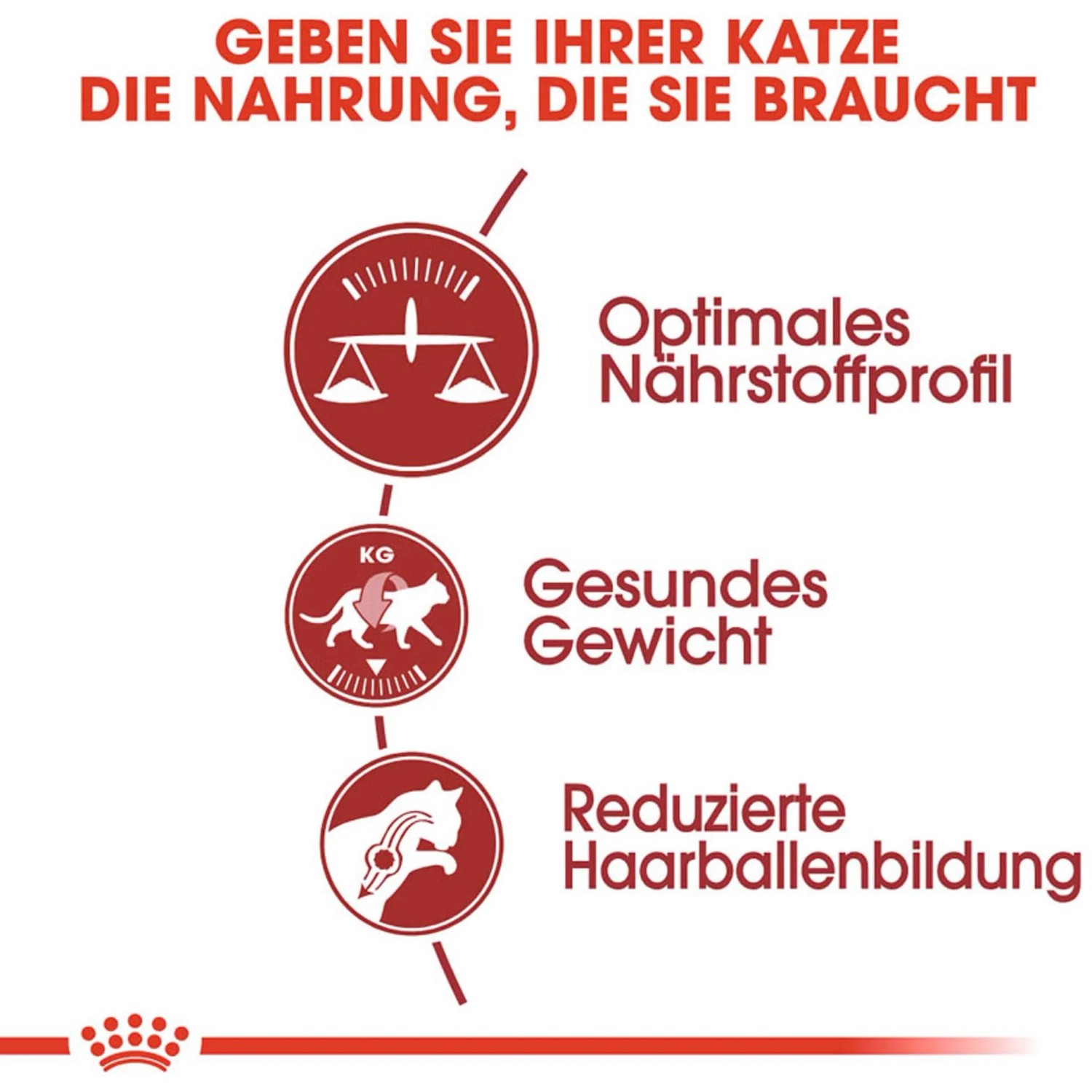 Grafik: Royal Canin Fit Katzenfutter Vorteile – Nährstoffprofil, Gewichtskontrolle, weniger Haarballen.
