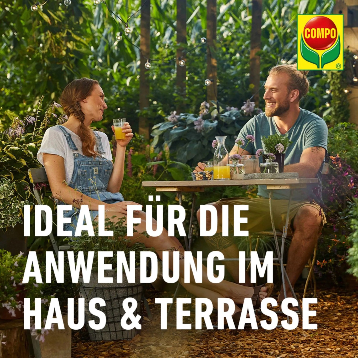 Compo Ameisen Köder: 2 Dosen zur Bekämpfung von Ameisen im Haus und Garten.