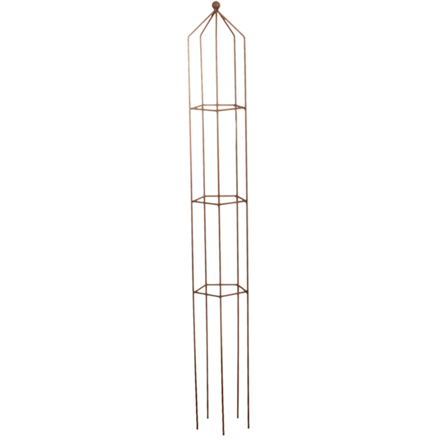 Rankhilfe Obelisk Fünfeckig 121 cm Metall Rosteffekt kaufen bei OBI