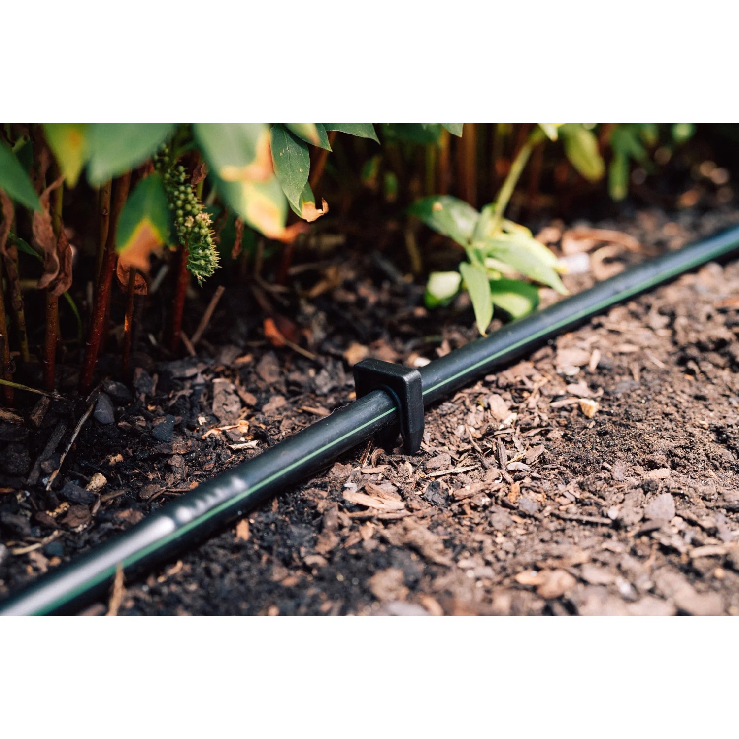 Geka Drip Rohrhalter Erdspieß (10 Stk.) fixiert ein schwarzes Tropfrohr im Gartenboden.