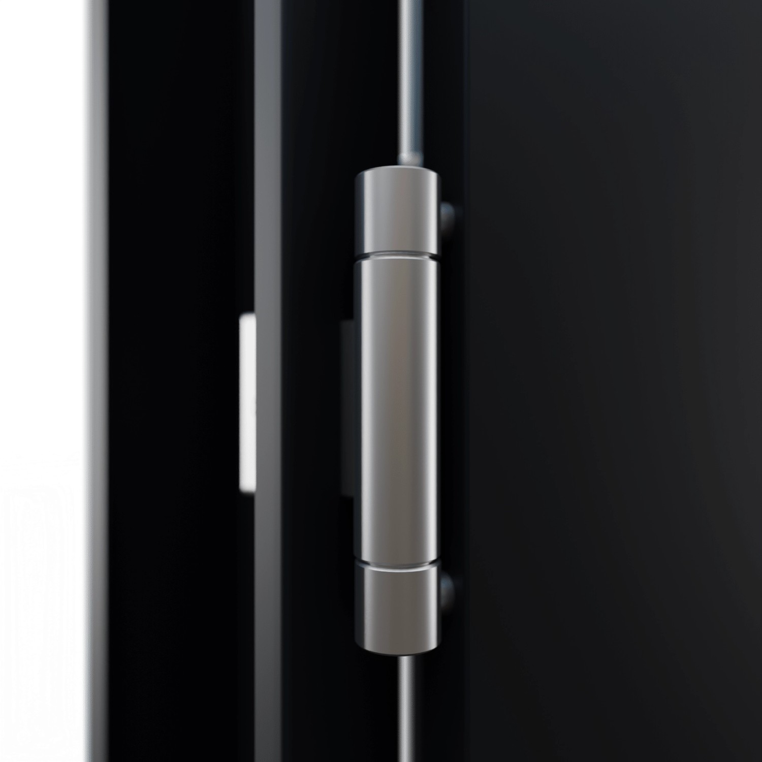 Detailaufnahme: Anthrazitfarbene FM Tür NBT56 mit silberfarbenem Türband.