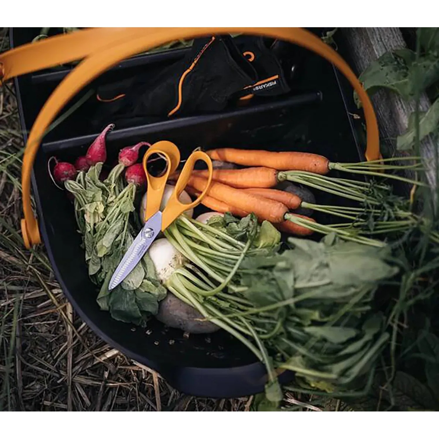 Fiskars Erntekorb Plus mit Gemüse, Radieschen, Karotten und Gartenschere. Schwarz-orange.