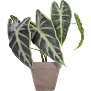 Grüne Kunstpflanze, 43 cm hoch, im Topf. Dekorative Zimmerpflanze, pflegeleicht.