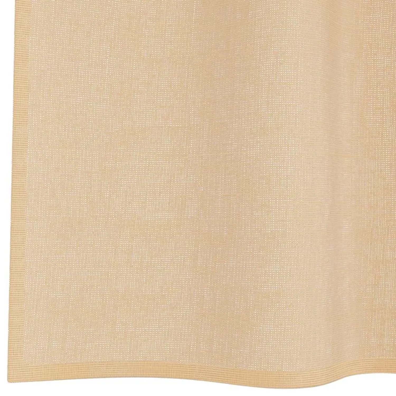 vidaXL Voile Vorhänge mit Stangentaschen 2 Stk Sandfarbe 4102220_6