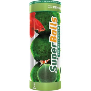 Dennerle Superball Algenbälle im Behälter, Aquariumpflanzen für Vordergrund, mit Fisch und Garnele.