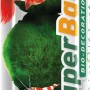 Dennerle Superball Algenbälle im Behälter, Aquariumpflanzen für Vordergrund, mit Fisch und Garnele.