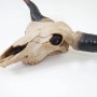 Deko Schädel A14 Longhorn, detailreiche Deko-Figur für Wandmontage.