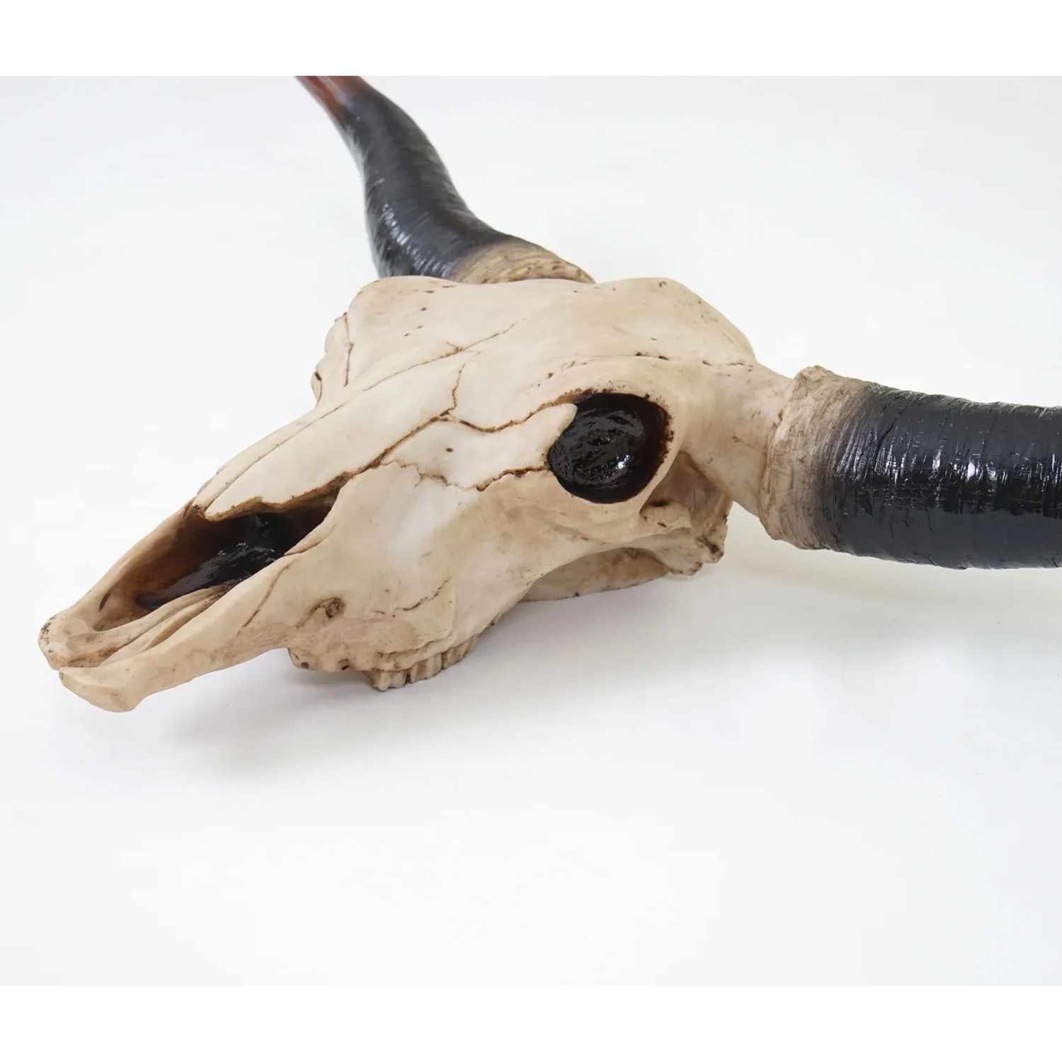 Deko Schädel A14 Longhorn, detailreiche Deko-Figur für Wandmontage.