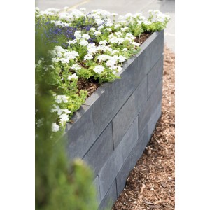 Dunkelgraue Diephaus Kana Quarzit Mauersteine bilden ein Hochbeet mit weißen Blumen und harmonischem Fugenbild.