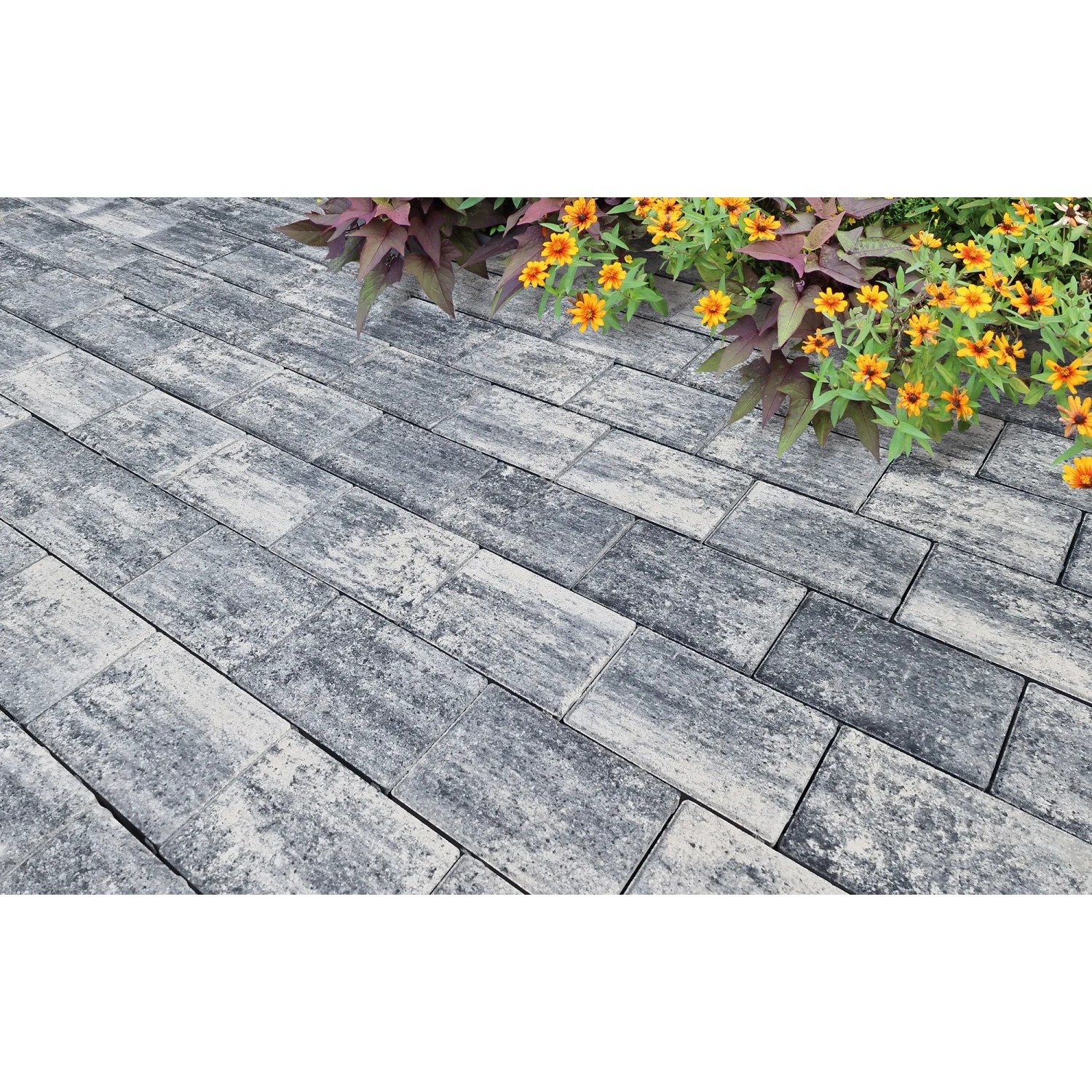 Diephaus Pflasterstein Ringo WeißSchwarz 20 x 15 x 5 cm kaufen bei OBI