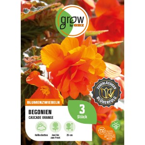 Packung GROW by OBI Begonie Cascade Orange, orangefarbene Blüten, ideal für Balkonkästen.