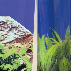 Aquariumrückwand mit Pflanzen und Felsen, geklebt mit JBL FIXOL 50ml.