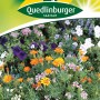Quedlinburger Steingarten einjährige Mischung: Bunte Blumen für Steingärten und Kübel.