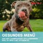 Supravit Nassfutter für Hunde mit Lamm und Reis_4